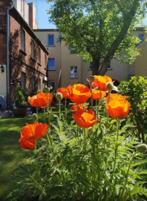 City Appartement mit Garten, zentral und trotzdem ruhig